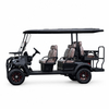 QFZXK Model - Electric Golf Cart