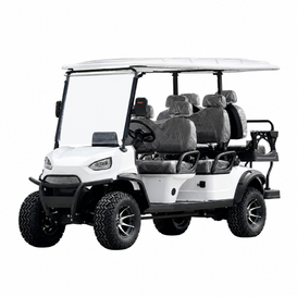 QFXK Model - Electric Golf Cart